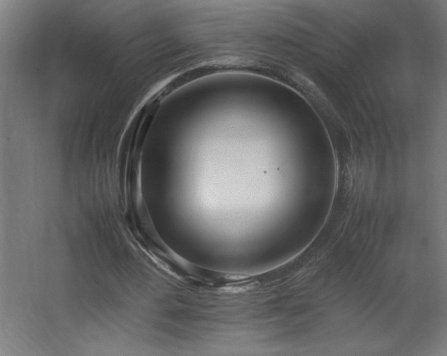 X0000067830484200604201219