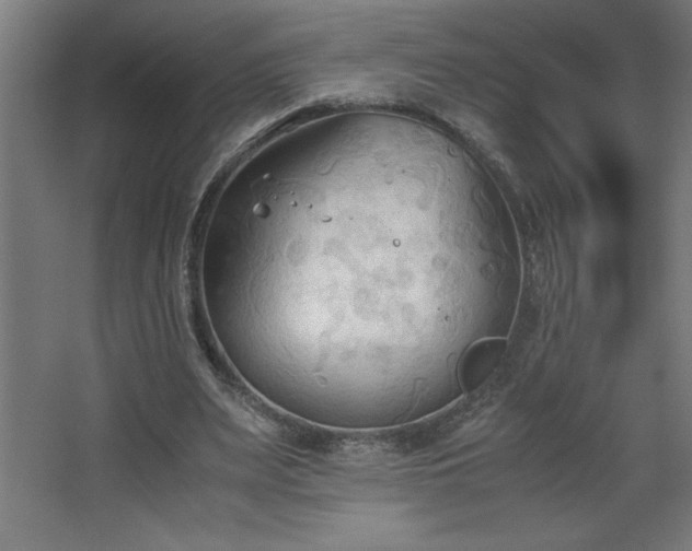 X0000067830487200604201219