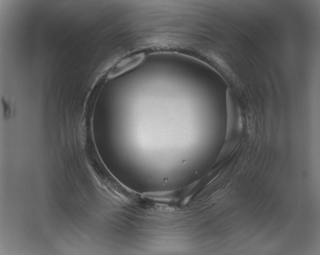 X0000067830488200604201219