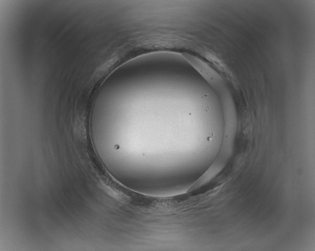 X0000067830489200604201219