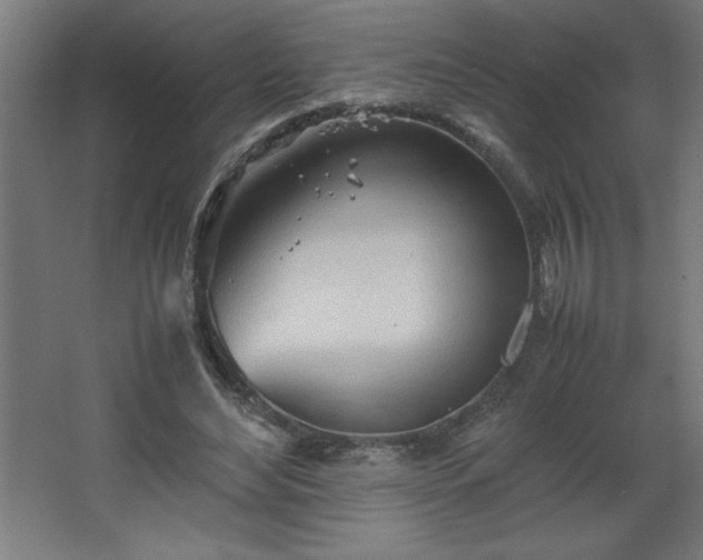 X0000067830492200604201219