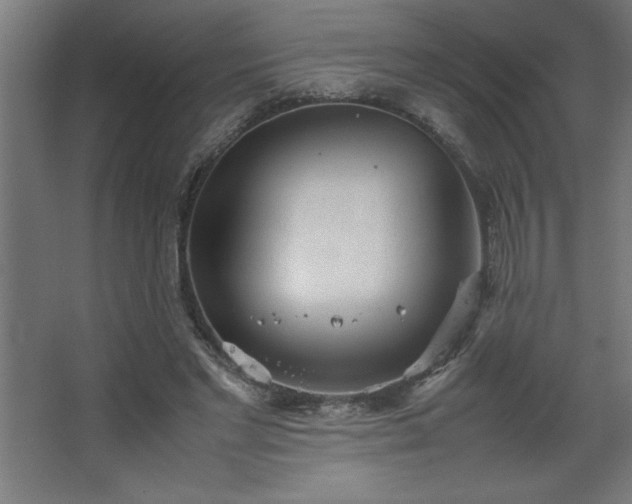 X0000067830493200604201219