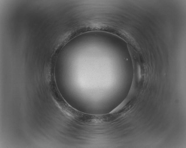 X0000067830496200604201219