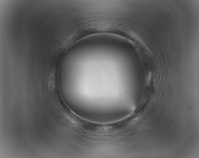 X0000067830497200604201219