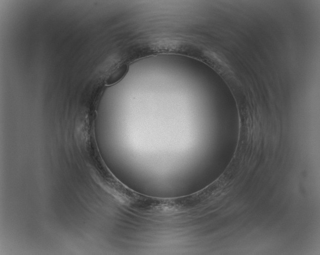 X0000067830498200604201219