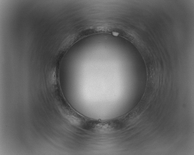 X0000067830502200604201219