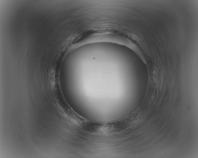 X0000067830504200604201219