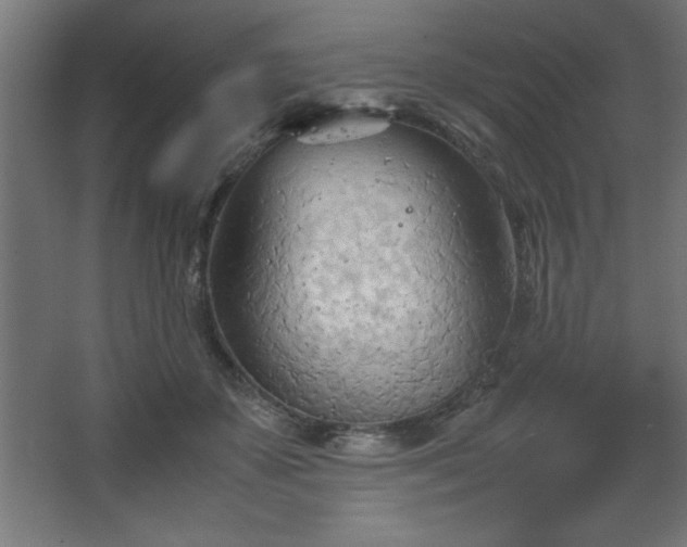 X0000067830507200604201219