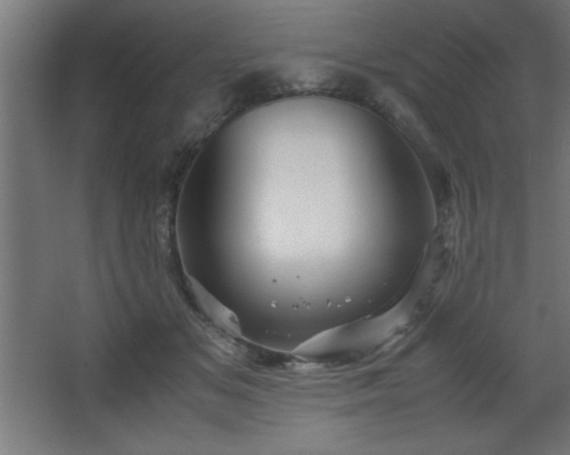 X0000067830509200604201219