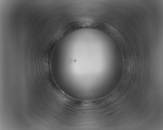 X0000067830510200604201219