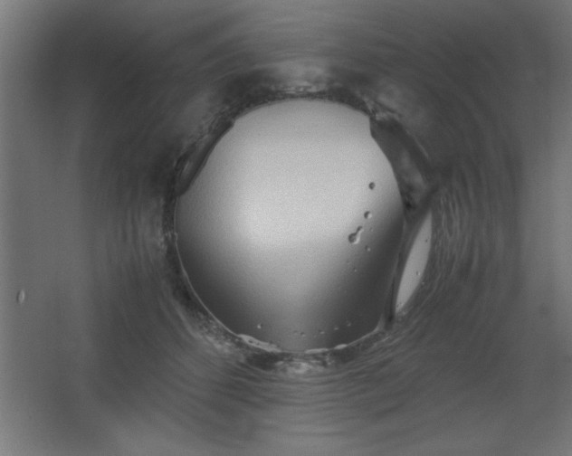 X0000067830512200604201219