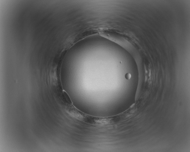 X0000067830516200604201219