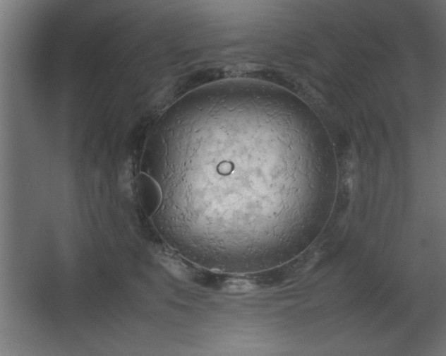 X0000067830519200604201219