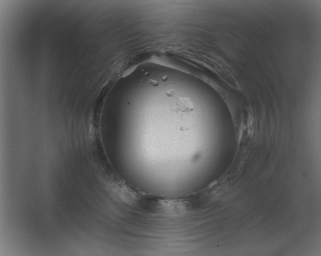 X0000067830520200604201219