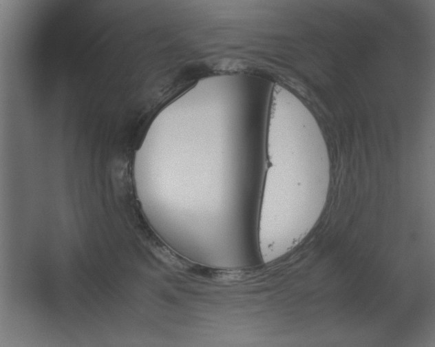 X0000067830521200604201219