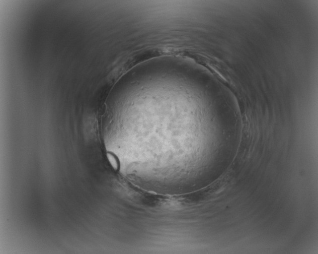 X0000067830523200604201219