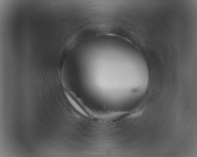 X0000067830528200604201219