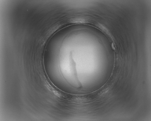 X0000067830529200604201218