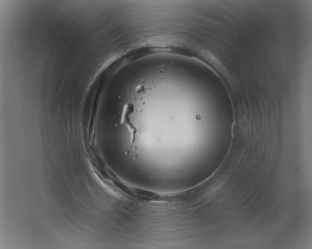 X0000067830530200604201218