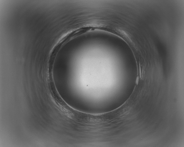 X0000067830531200604201218