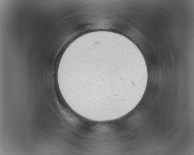 X0000067830534200604201218