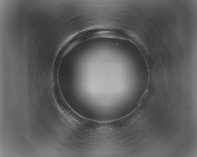 X0000067830536200604201218