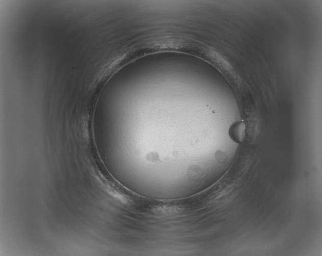 X0000067830537200604201218