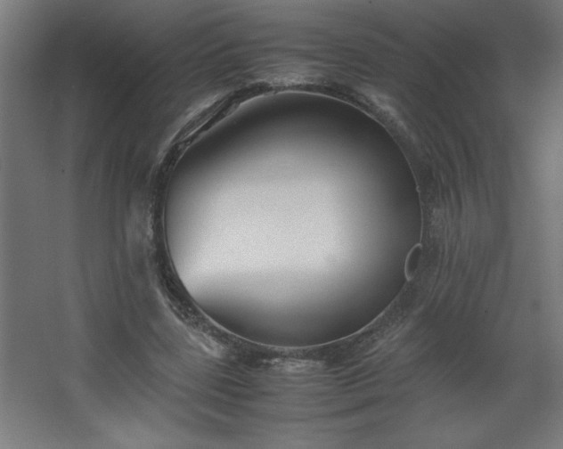 X0000067830539200604201218