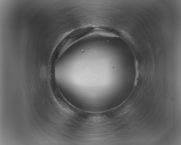 X0000067830540200604201218