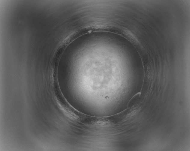 X0000067830542200604201218