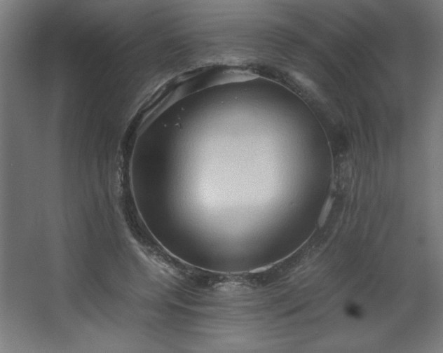 X0000067830544200604201218