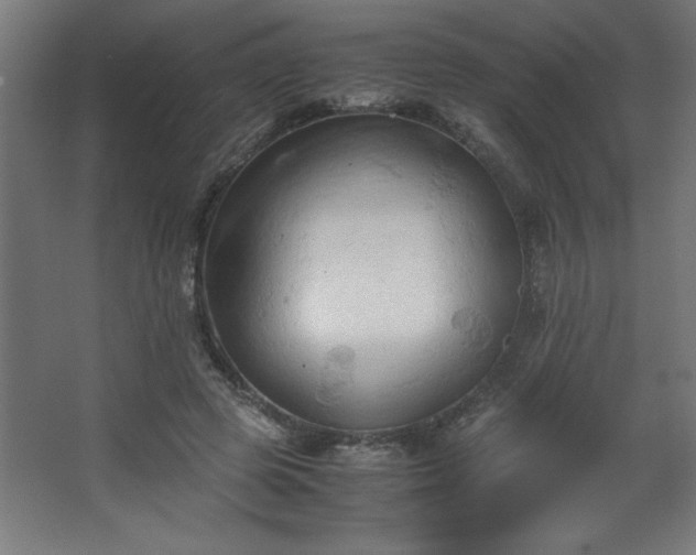 X0000067830545200604201218