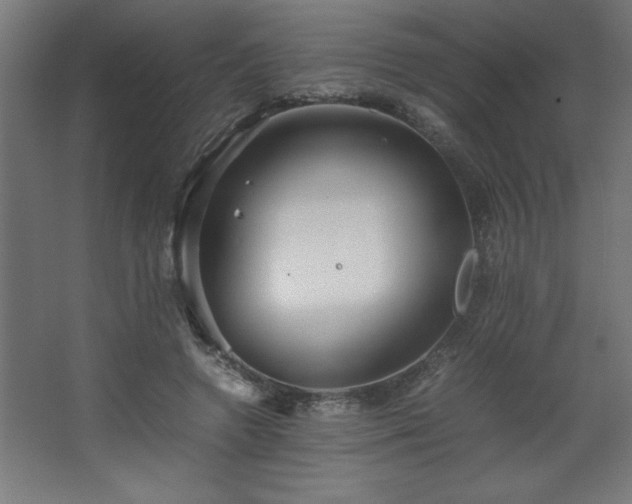 X0000067830546200604201218