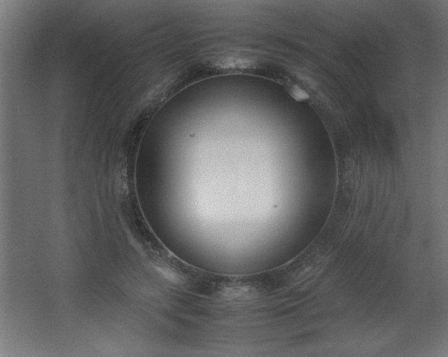 X0000067830547200604201218