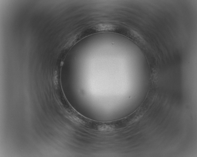 X0000067830549200604201218