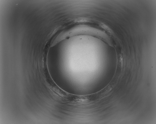 X0000067830552200604201218