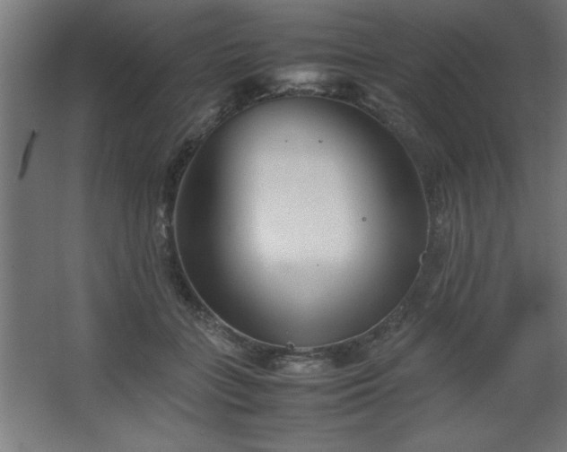 X0000067830555200604201218