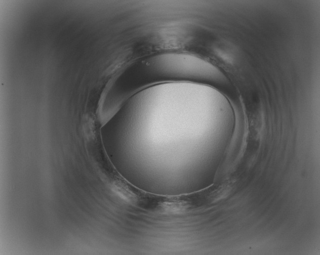 X0000067830556200604201218