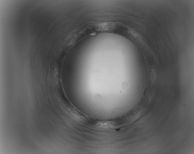 X0000067830557200604201218