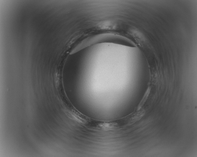 X0000067830558200604201218