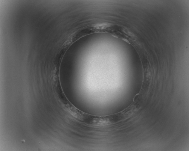 X0000067830559200604201218