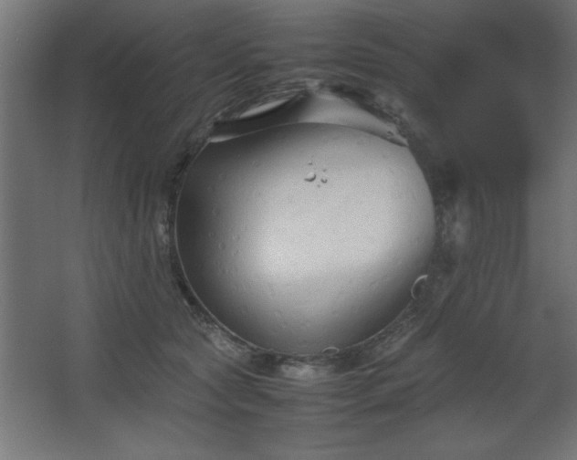 X0000067830561200604201218