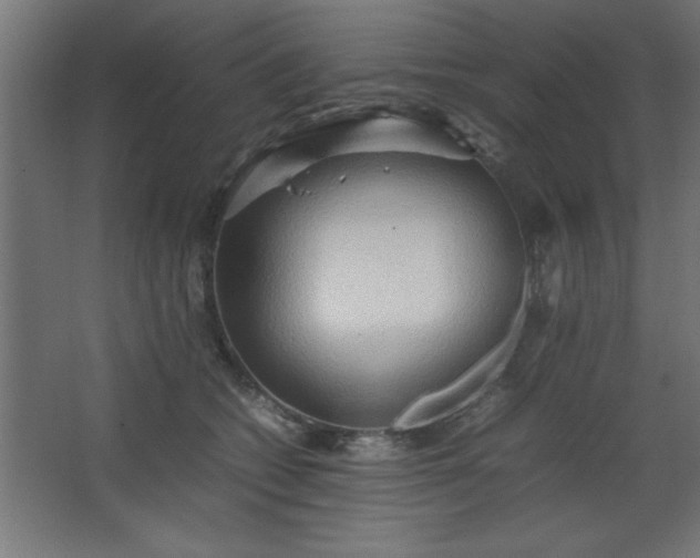 X0000067830562200604201218