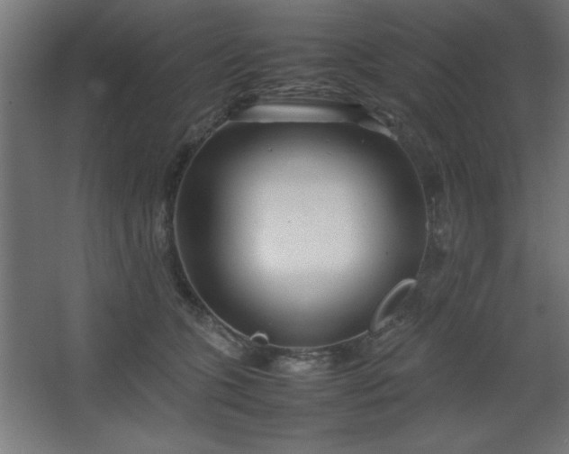 X0000067830563200604201218