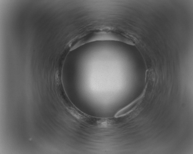 X0000067830564200604201218