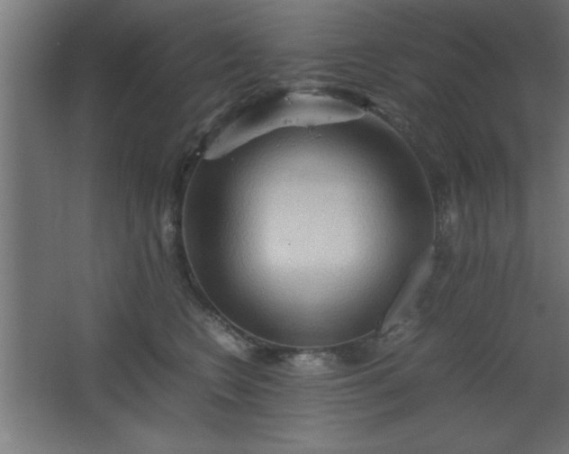 X0000067830566200604201218