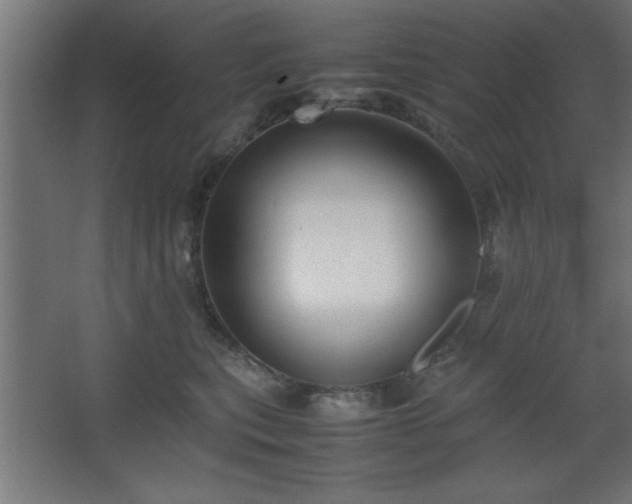 X0000067830567200604201218