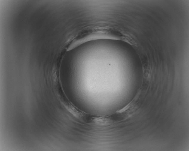 X0000067830568200604201218