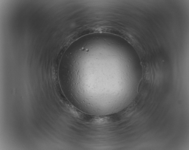 X0000067830569200604201218