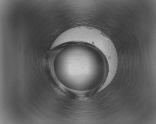 X0000067830570200604201218